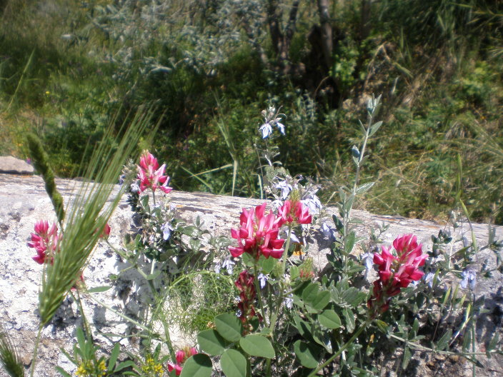 sicile 2008 294.jpg